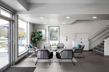 a waiting room with chairs and a plant in the corner of the room